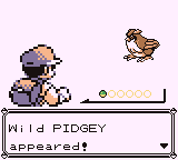 Wild Pidgey Appeared!